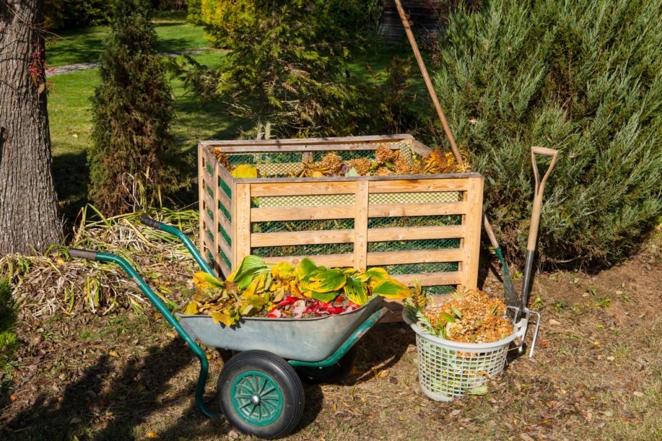 Natural fertilizers and compost.