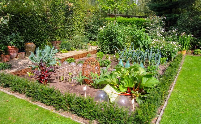 A garden with natural fertilizers showing a balanced and thriving ecosystem.