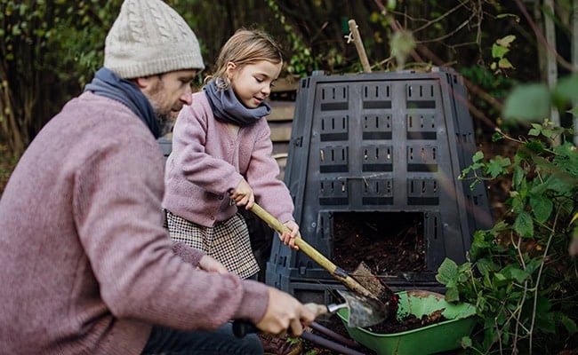 Natural fertilizers for vegetable garden being shoveled by father and daughter.