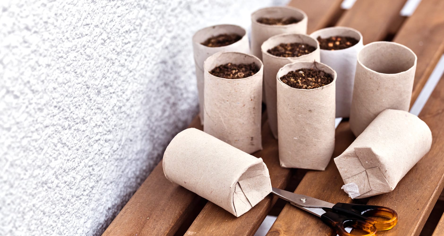 How to Use Empty Toilet Paper Rolls as Compostable Seed-Starters