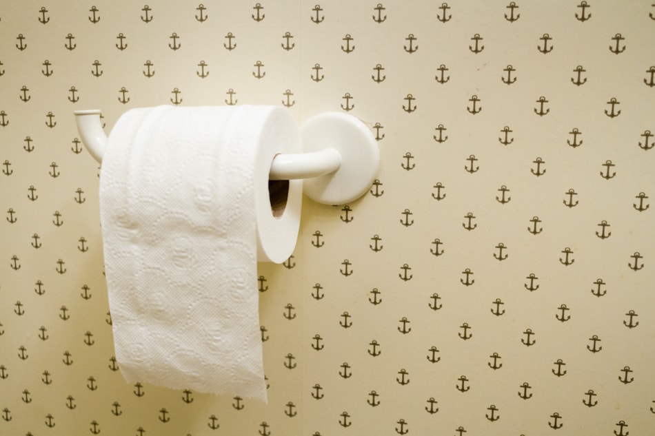 Toilet Roll Hanging Over in Nice Bathroom