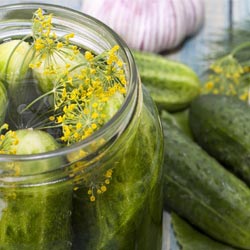 Refrigerator Dill Pickles