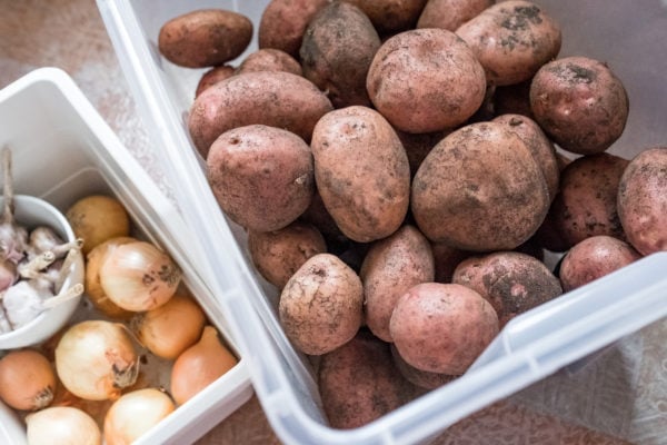 potatoes, onions, and garlic in storage bins