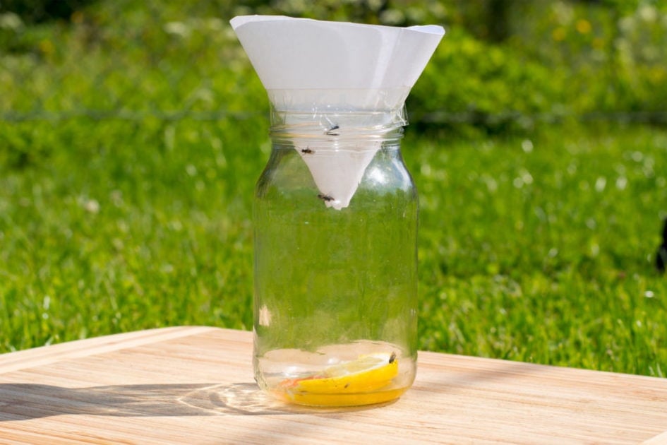 A photo of a do it yourself fly trap.