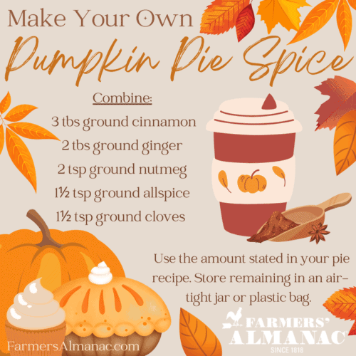 Make Your Own Pumpkin Pie Spice image