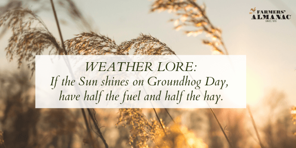 Weather Lore: If the Sun shines on Groundhog Day, have half the fuel and half the hay.image preview