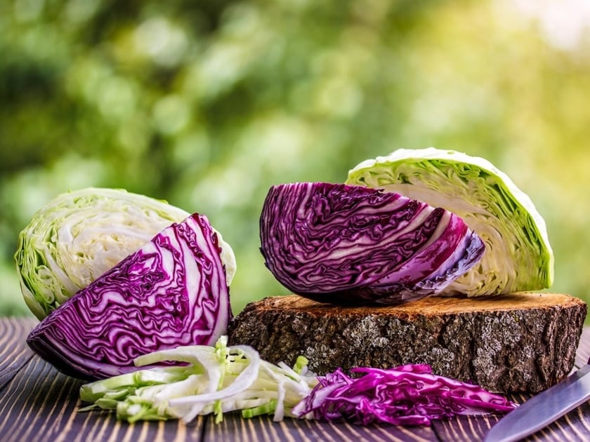 Red and green cabbage chopped in half.