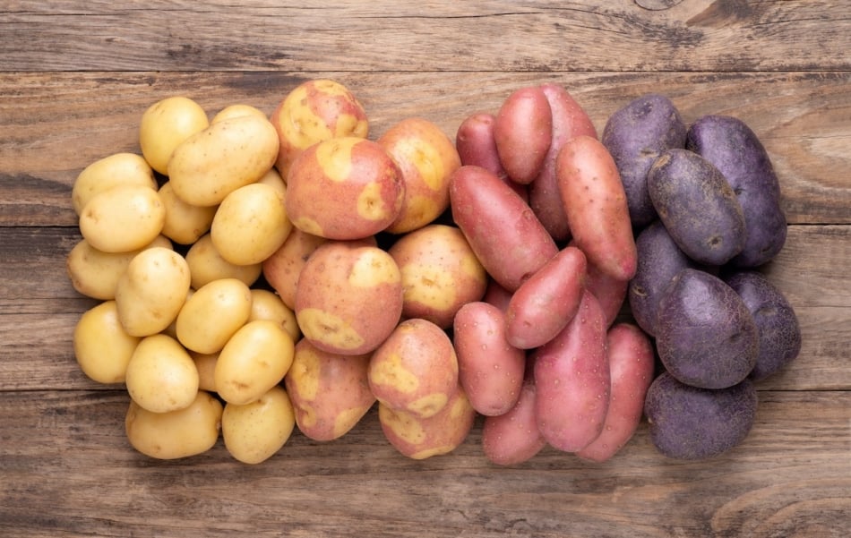 Potatoes - assorted colored potatoes