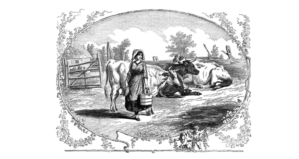 Engraving - Drawing