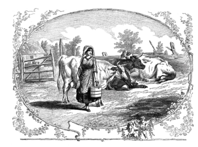 What a Western Woman Did in a Day – 1877 featured image