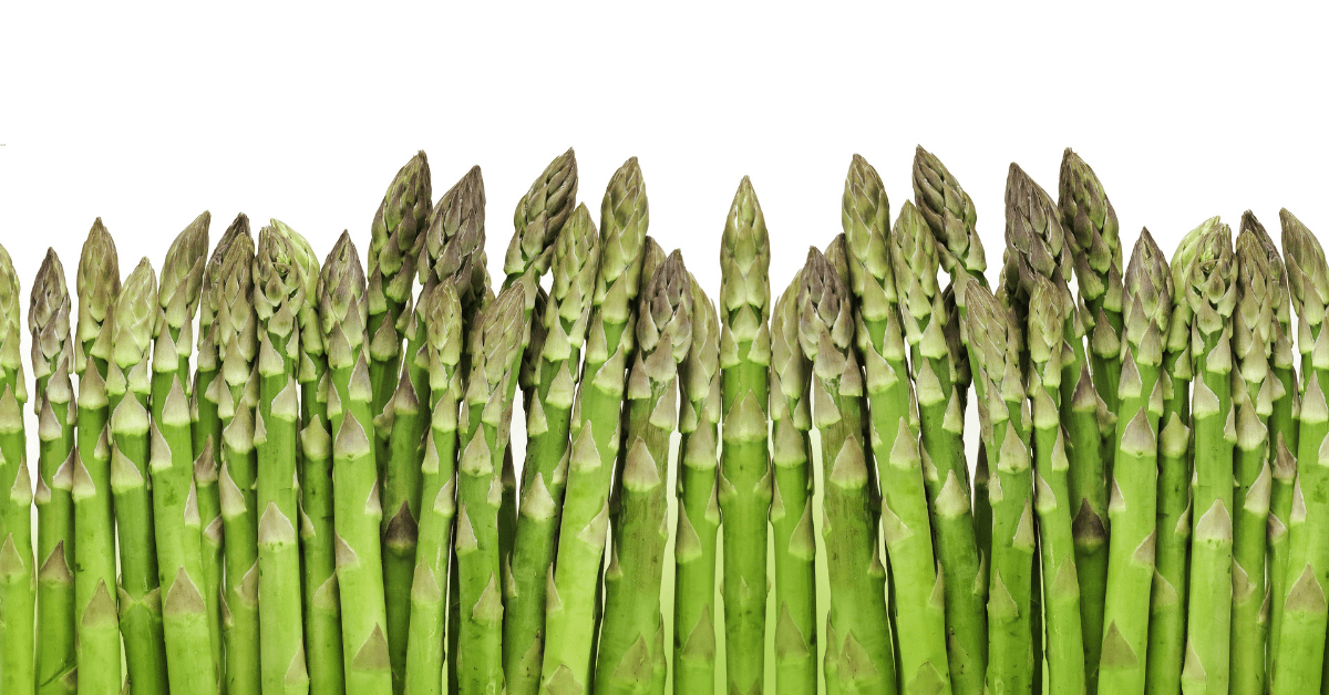 asparagus stalks on white background