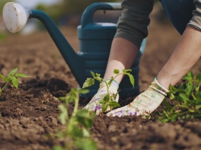 Is Good Friday A Good Day To Plant? featured image