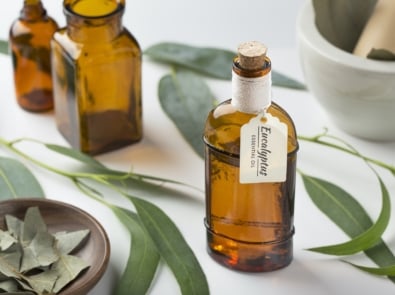 5 Surprising Uses For Eucalyptus Oil featured image