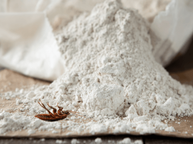 What Is Diatomaceous Earth And How Does It Kill Bugs? featured image