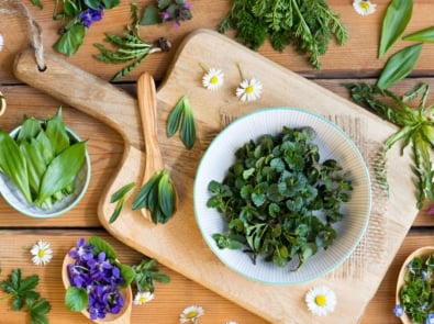 Go Ahead And Eat Those Weeds: A Beginner’s Guide to Foraging featured image
