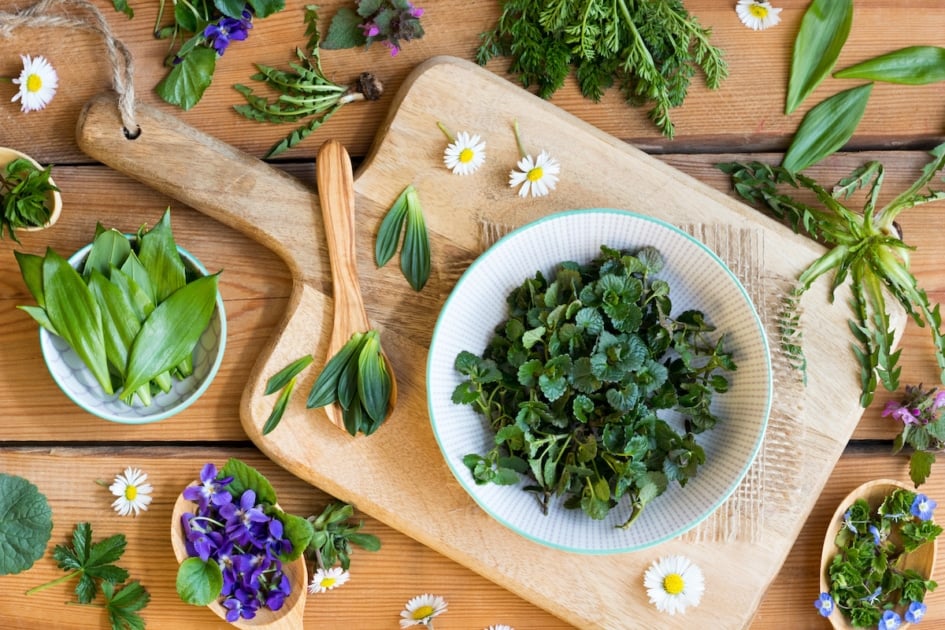 Fresh wild edible spring plants on a wooden table: ground-ivy, veronica, violet flower, wild garlic, dandelion, daisy, ground elder, wild carrot, red dead-nettle, ribwort plantain