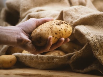 A young man at the farmer's market holding a dirty organic potato. Potatoes and a jute sack out focus in background. Close up view. Cinematic scene. Market, food and average potatoes price concept