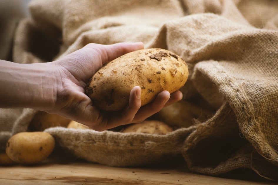 A young man at the farmer's market holding a dirty organic potato. Potatoes and a jute sack out focus in background. Close up view. Cinematic scene. Market, food and average potatoes price concept