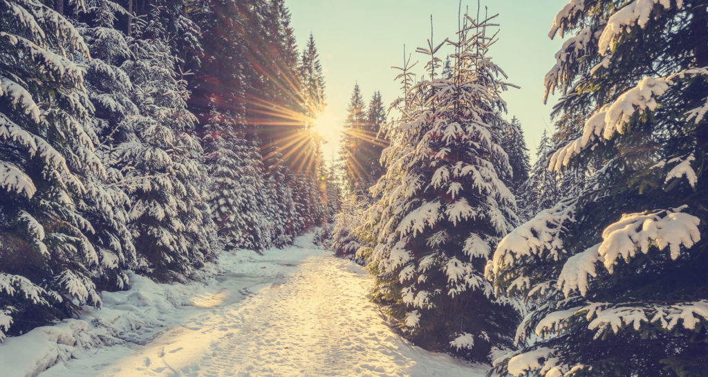 Winter Solstice 2020: When Is It, And What Is It? - Farmers' Almanac