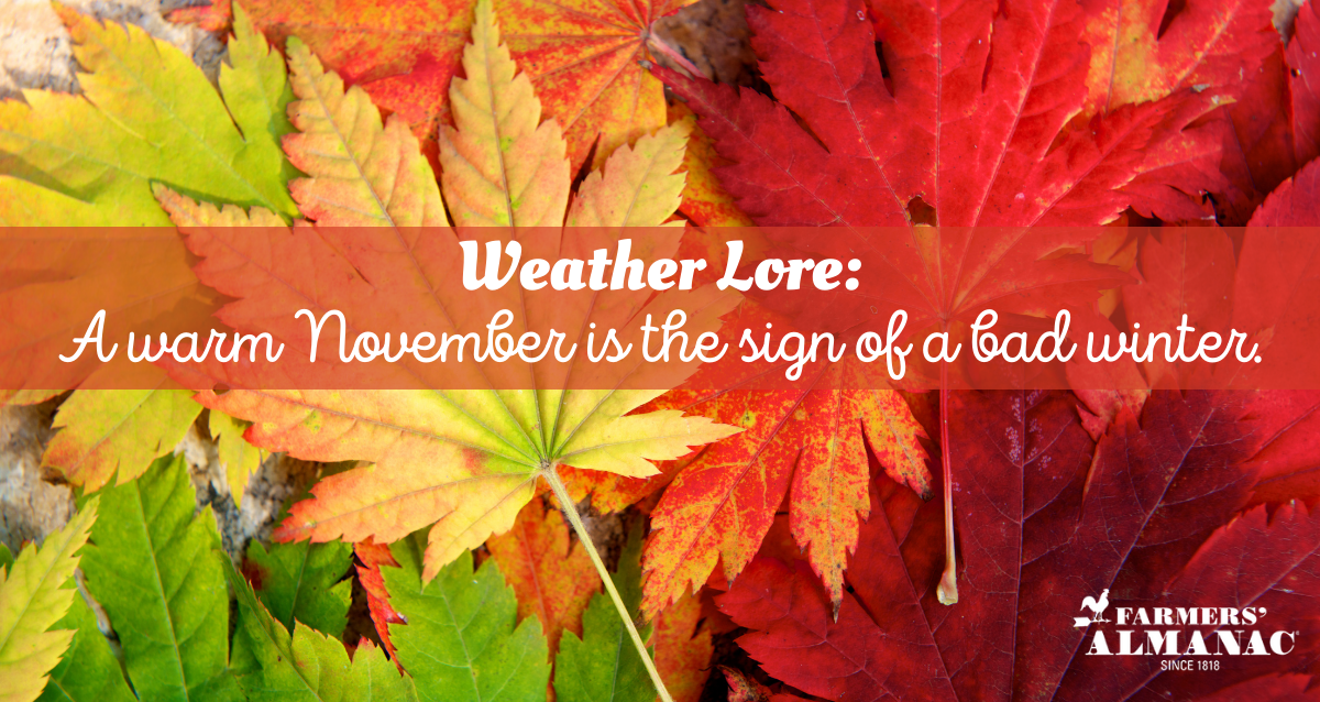 Weather Lore: A warm November is the sign of a bad winter.image preview