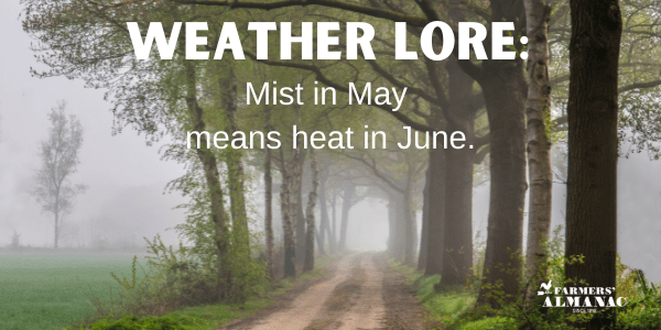 Weather Lore: Mist in May means heat in June.image preview