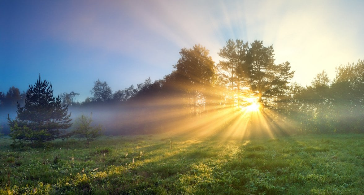 beautiful panorama landscape with sun and forest and meadow at sunrise. sun rays shine through trees. panoramic view.