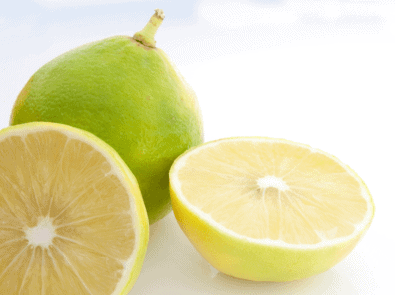 What The Heck Is Bergamot? featured image