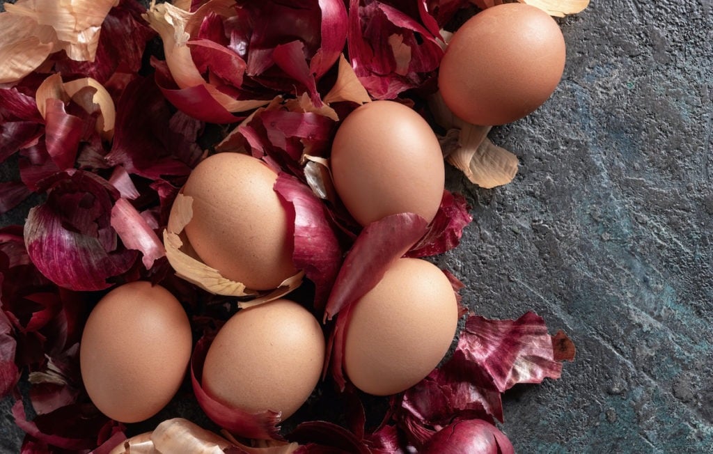 Red onion skins with brown eggs.