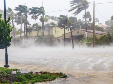 Hurricane Names 2024-25 Seasons featured image