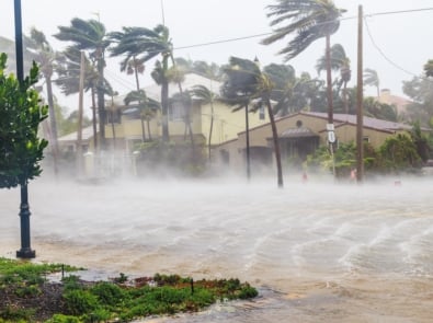 Hurricane Names 2025-2029 – Is Yours On The List? featured image
