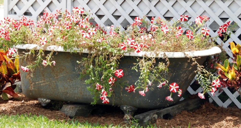 Water garden - Hot Tub