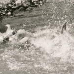 Air conditioning - Water