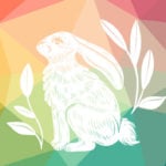A rabbit to symbolize rabbit rabbit folklore.