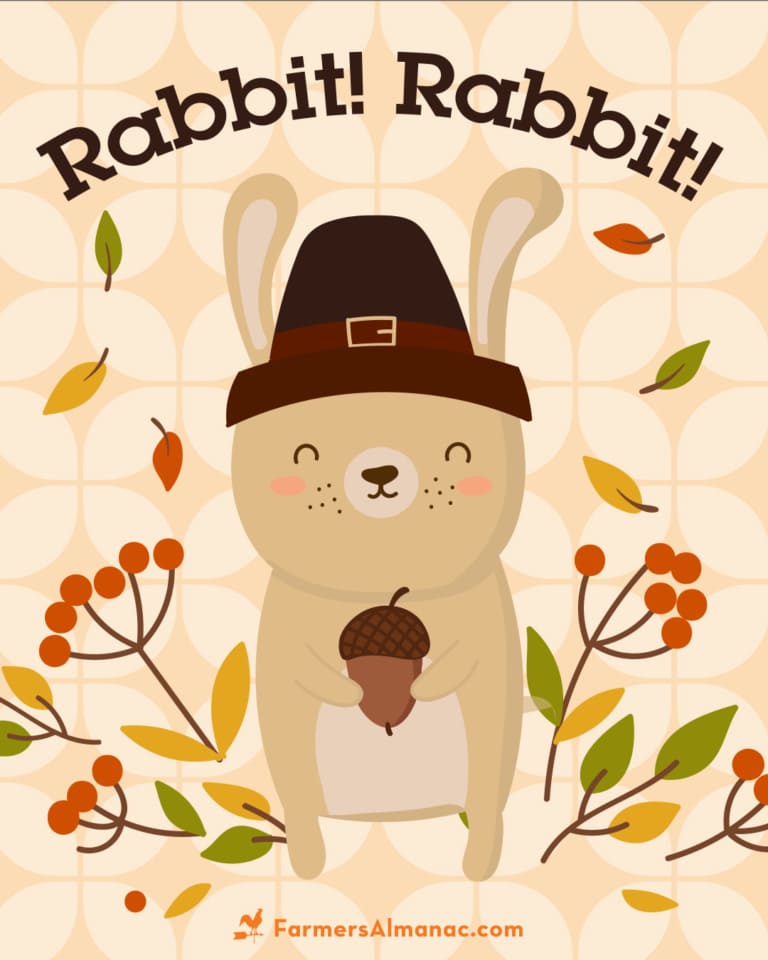 On the 1st of the Month Don't To Say "Rabbit Rabbit"! Farmers