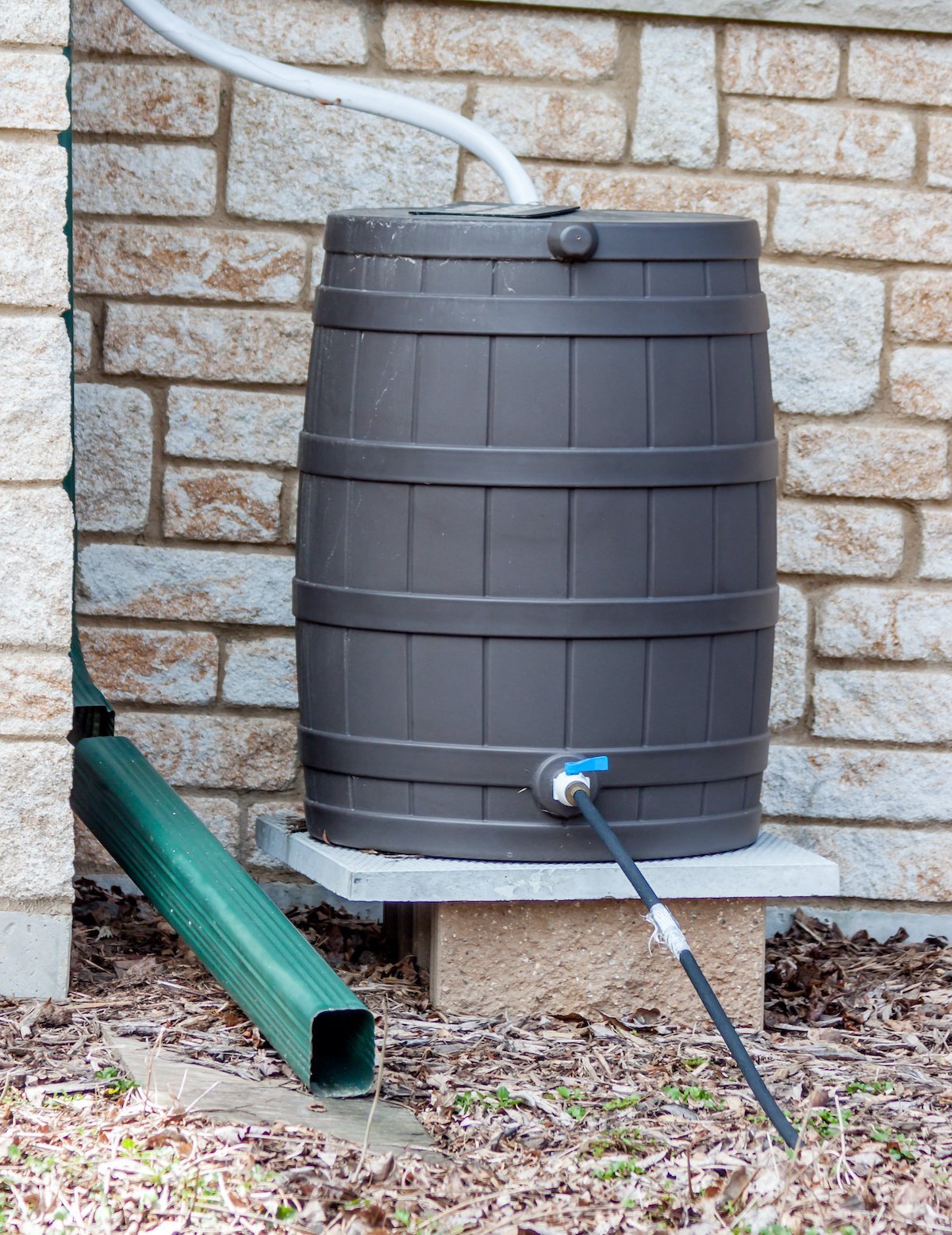 A rain barrel set up to catch rain