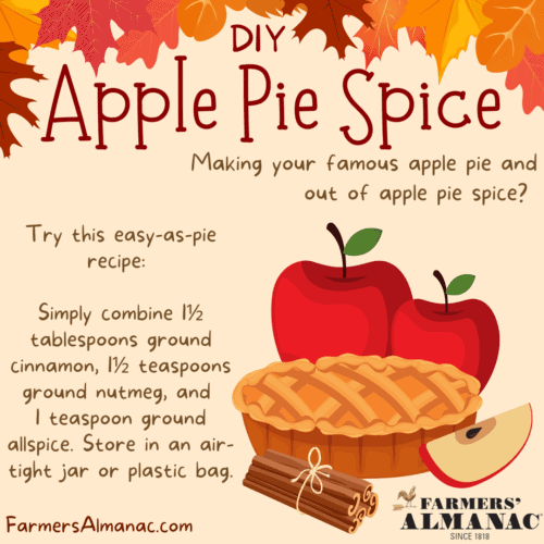 Make Your Own Apple Pie Spiceimage preview