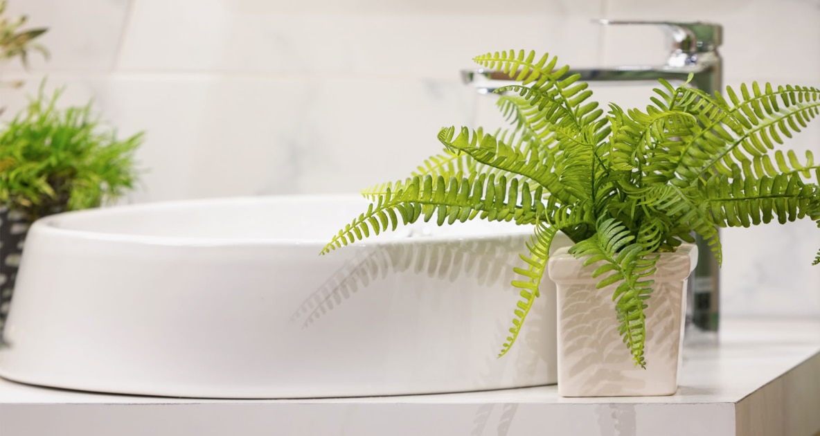 Bathroom - Houseplant