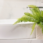 Bathroom - Houseplant
