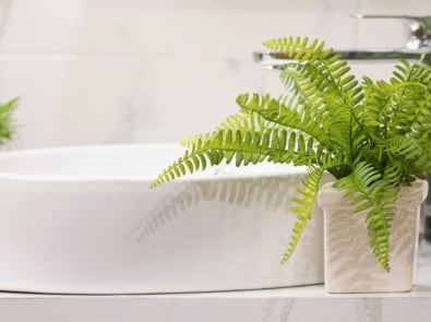 6 Plants That Would Love To Live In Your Bathroom featured image