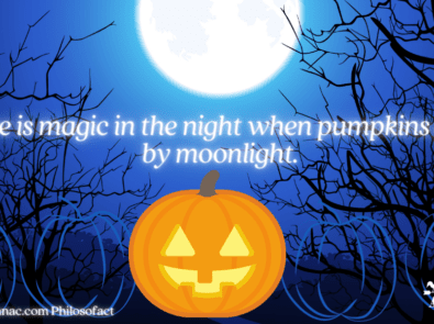 There is magic in the night when pumpkins glow by moonlight. featured image
