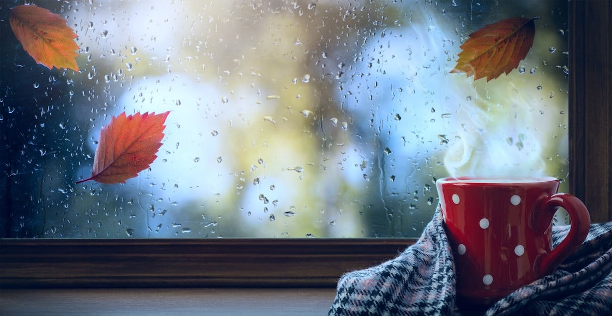 red cup with hot drink and wet autumnal window; Autumn season background