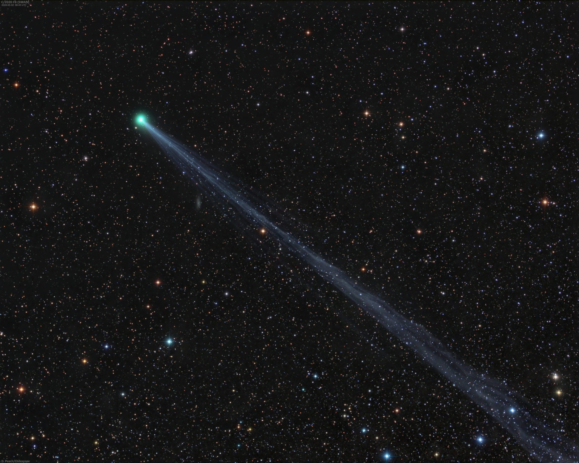 Comet SWAN in space with stars photographed by Damian Peach