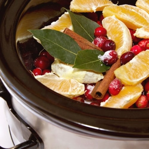 Homemade Simmering Christmas Potpourri image