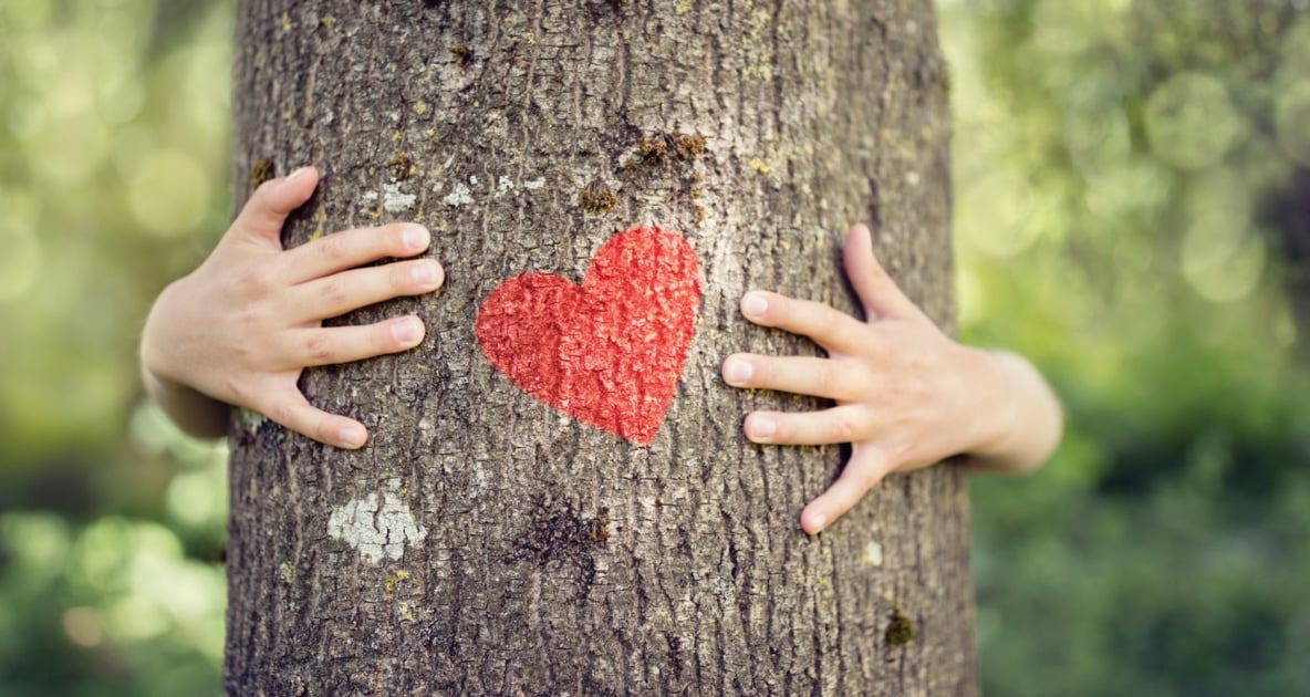 Hands wrapped around a tree with a red heart painted in front.