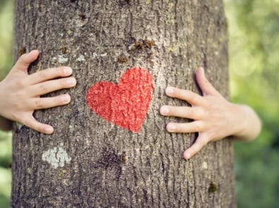 Arbor Day 2025: What and When is Arbor Day? featured image