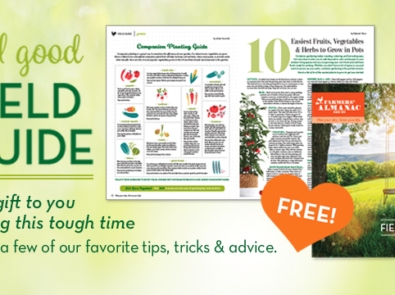 FREE Download! Feel Good  Field Guide! featured image