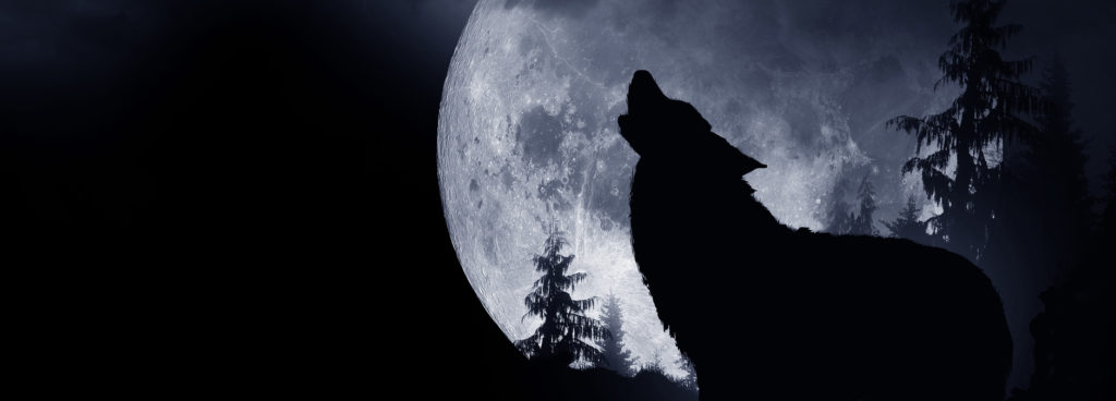 New Moon July 2021 Astrology New Moon July 2021 Astrology
