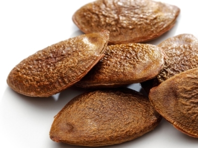 Seed - Persimmon