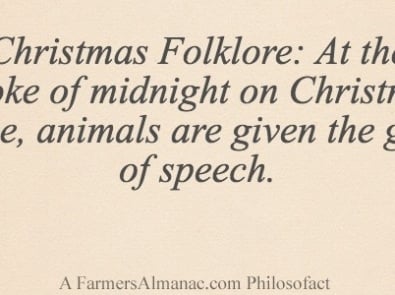 Christmas Folklore: At the stroke of midnight on Christmas Eve, animals are given the gift of speech. featured image