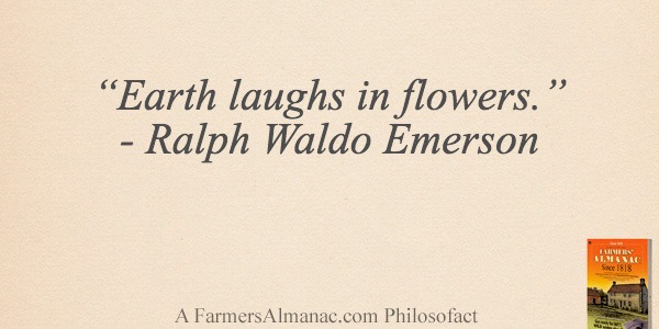 “Earth laughs in flowers.” – Ralph Waldo Emersonimage preview